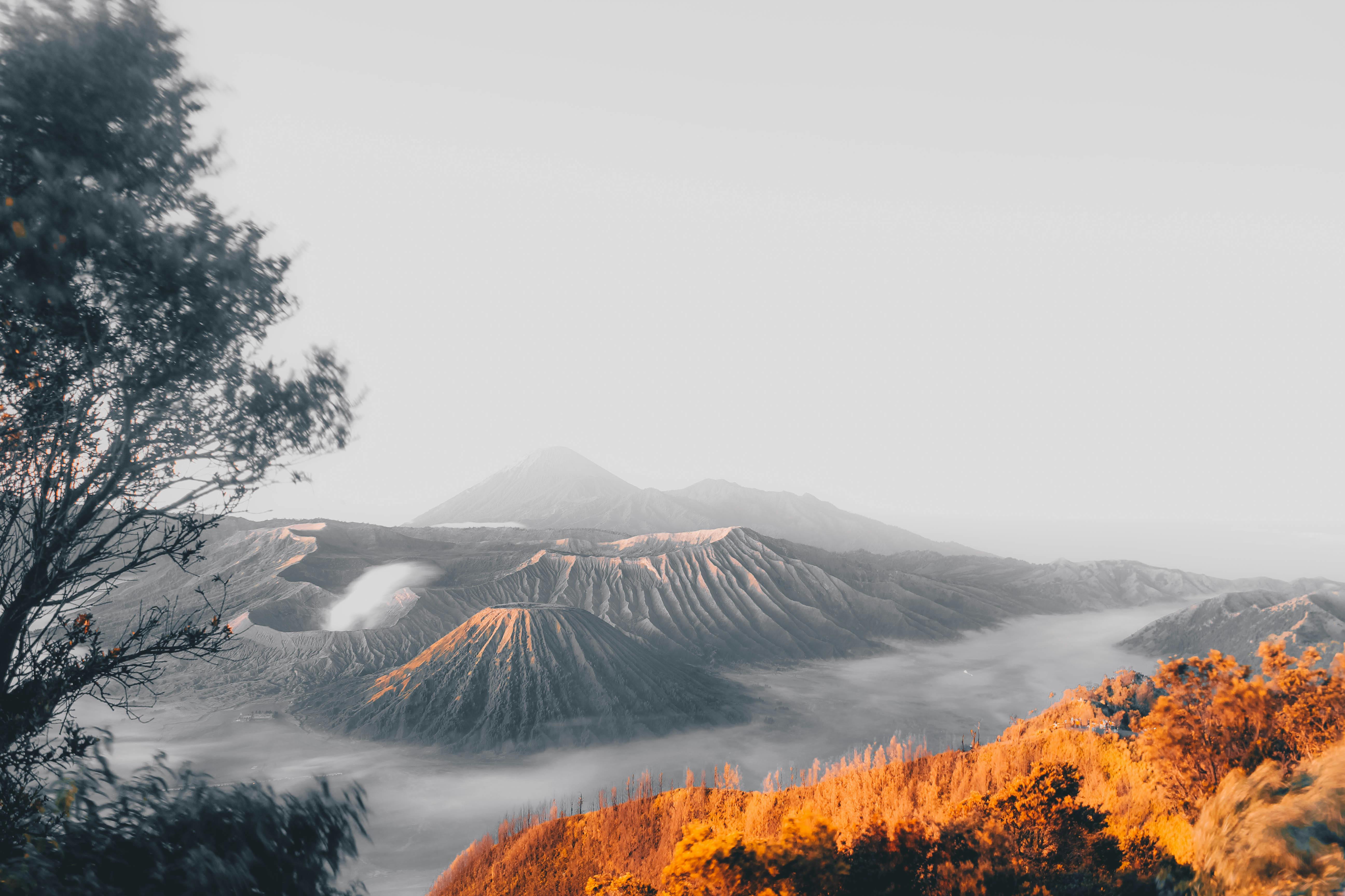 Java十大排序算法